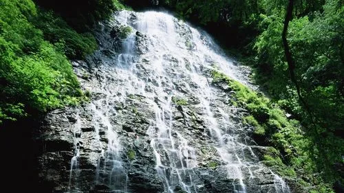 高效创意